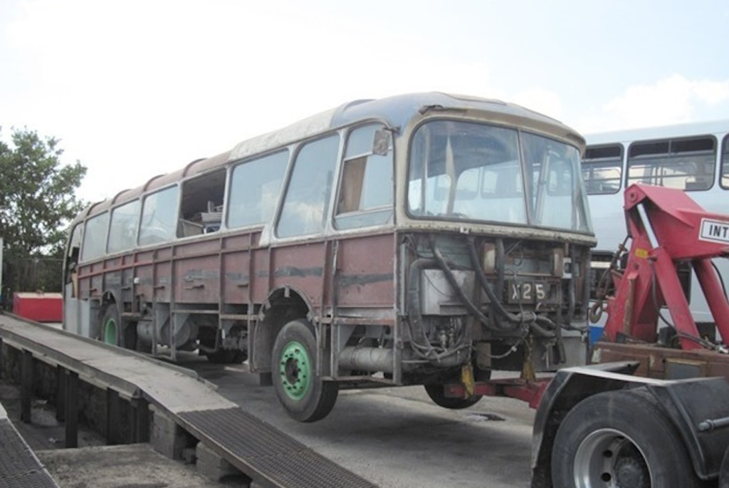 726 Long Cavalier